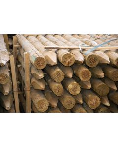 UC4 Green Treated Round Pointed Stakes &ndash; Peeled Timber Fence Posts