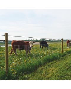 SMOR STOCK FENCING HG HT8/80/22 S KNOT