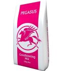 PEGASUS CONDITIONING MIX 20KG - PINK