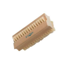 Gardener's Nail Brush