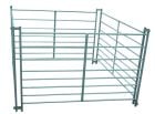 Alpaca Hurdle 6' Long x 4' High 8-Rail