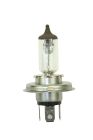 Halogen Vehicle Bulbs