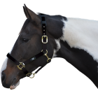 Hy Deluxe Padded Head Collar