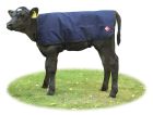 TOUGH COVERS BLUE CALF JACKETS