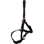 Hy Foal Head Collar