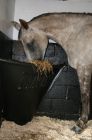Horse Haybars