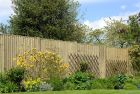 Weston Featheredge Panel - Pressure Treated