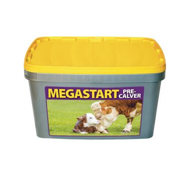 Megastart Pre Calver