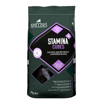 SPILLERS STAMINA CUBES (SLOW RELEASE ENERGY) 20KG