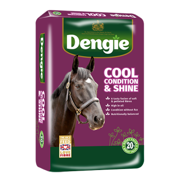 DENGIE COOL, CONDITION & SHINE 20KG