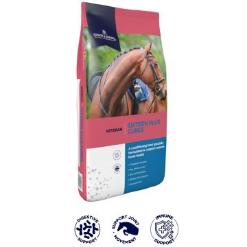 DODSON & HORRELL SIXTEEN PLUS CUBES 20KG