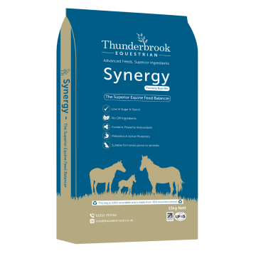 THUNDERBROOK SYNERGY (BASE MIX) 15KG