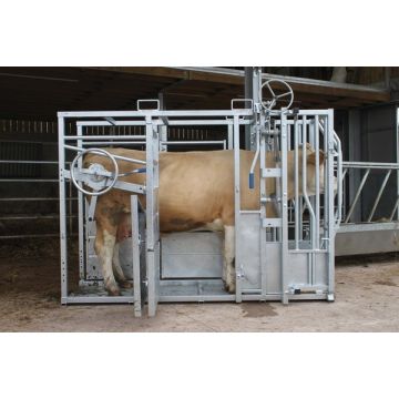 Chieftain Cattle Crush Rotating Rump Bar Manual Yoke