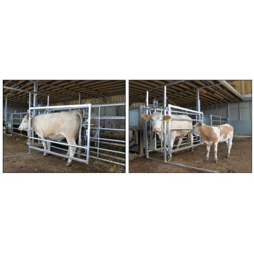 IAE Delux Calvng Hurdle 10ft Long, Galvanised, 3 Removable Rails
