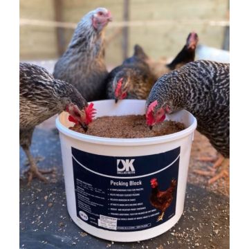 DK Poultry Pecking Block 10kg with Oyster Shell