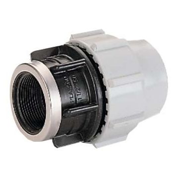Plasson Female Adaptor BSP Thread
