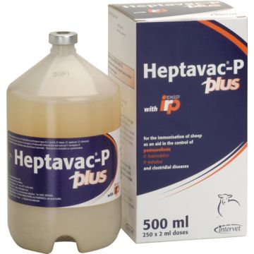Heptavac P Plus - POM VPS