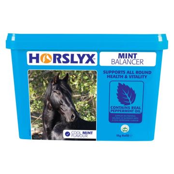 Horslyx Mint Balancer - 4 x 5kg pack