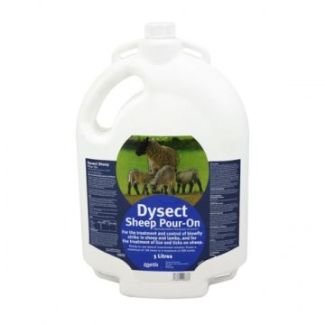 Dysect Sheep Pour-On - 5l