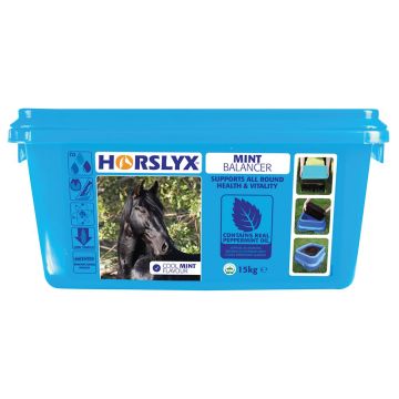 Horslyx Mint Balancer - 15kg