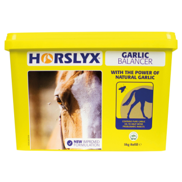 Horslyx Garlic Balancer 4 Pk *Outer* (4 X 5Kg Licks)