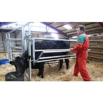 Ritchie Calving Gate