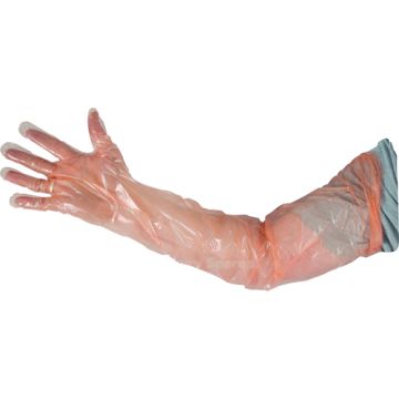 Febra Examination Glove - 100pk