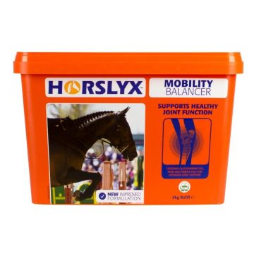 Horslyx Mobility Balancer 4 Pk *Outer* (4 X 5Kg Licks)