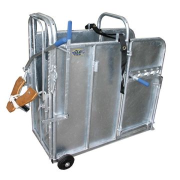 Calf Dehorning Crates