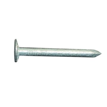 Clout Nails - Galvanised