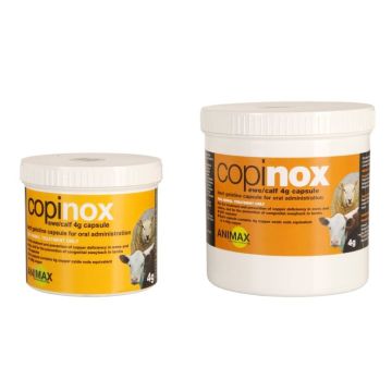 Animax Copinox 4g capsules for Ewe & Calf