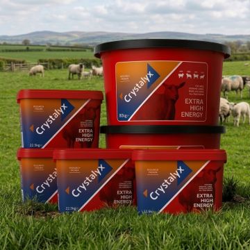 Crystalyx Sheep Extra High Energy Feed Tubs
