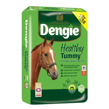 DENGIE HEALTHY TUMMY HORSE FEED 15KG  