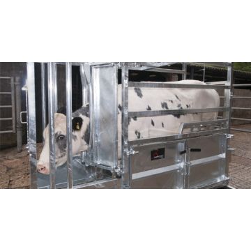 Hybrid Cattle Crush - Bateman