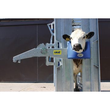 IAE Superscoop Head Scoop Mk 4.5 for Cattle Crush