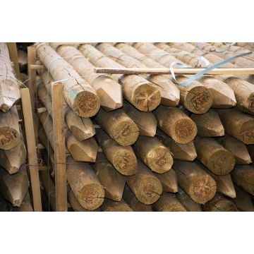 UC4 Green Treated Round Pointed Stakes – Peeled Timber Fence Posts