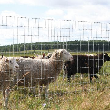 SMOR STOCK FENCING HG HT8/80/15 S KNOT