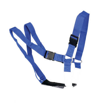 SUPER BLUE RAM HARNESS   