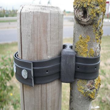 Tree Strapping With Easy Fix Nail Holes