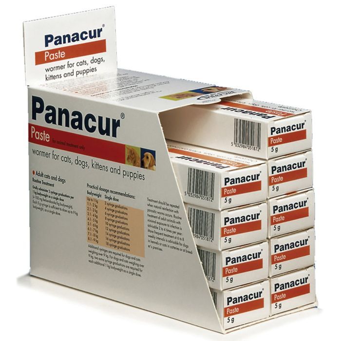 Panacur paste for sales kittens