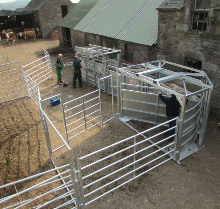 Ritchie Stock Cube Cattle Handling System