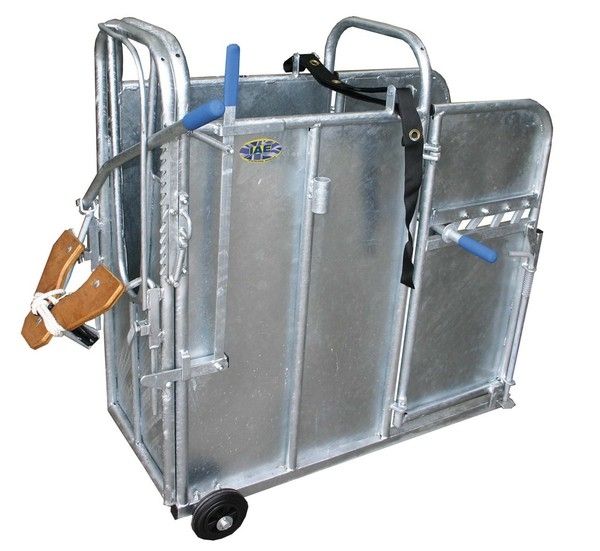 Calf Dehorning Crate