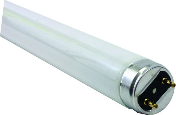 Portable hot sale fluorescent lamp