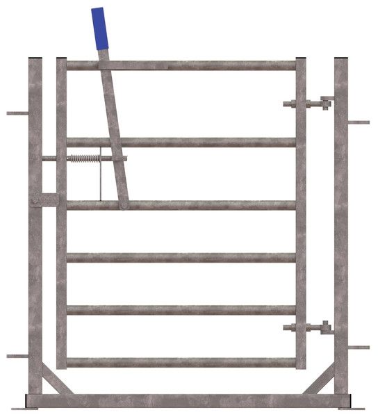 Sheep Swinging Gate in Frame
