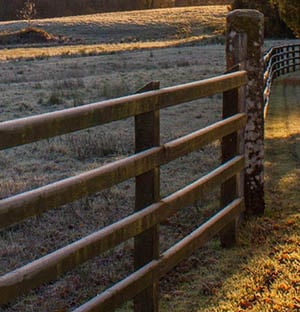 Fencing & Gates