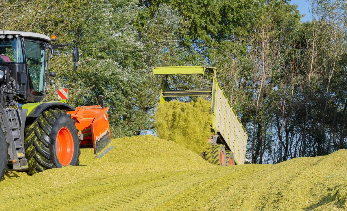 An introduction to silaging: a guide for farmers