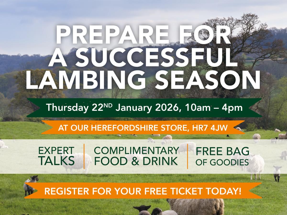 Free Event: Prepare for a Successful Lambing Season