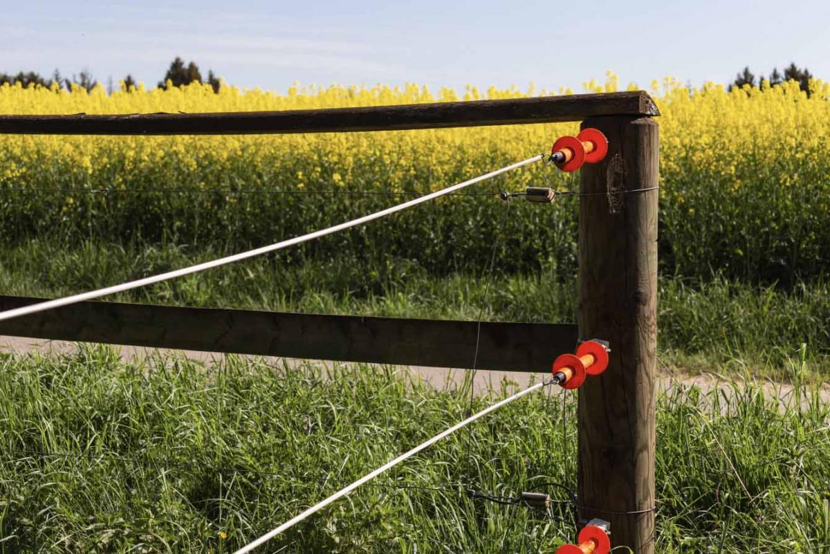 Electric fencing at turnout The Fence & Best Setup for You Stowag