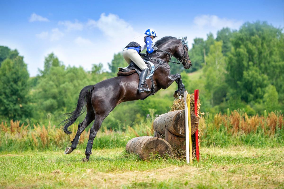 NAF Equine: Keeping horses comfortable & cool on warm days