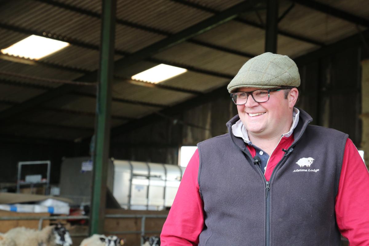 Manging blowfly strike: A holistic approach for sheep farmers
